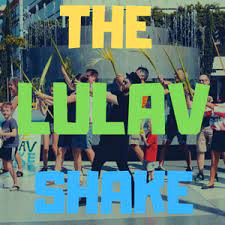 The Lulav Shake DJ Raphi | Sukkot Song